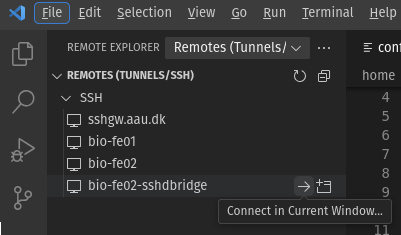 Connect through bridge host