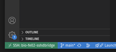 Connect through bridge host