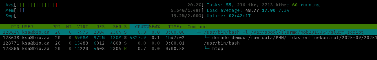 htop example
